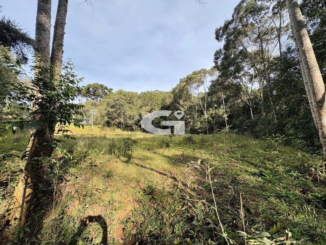 Terreno, 7562 m² - Foto 12
