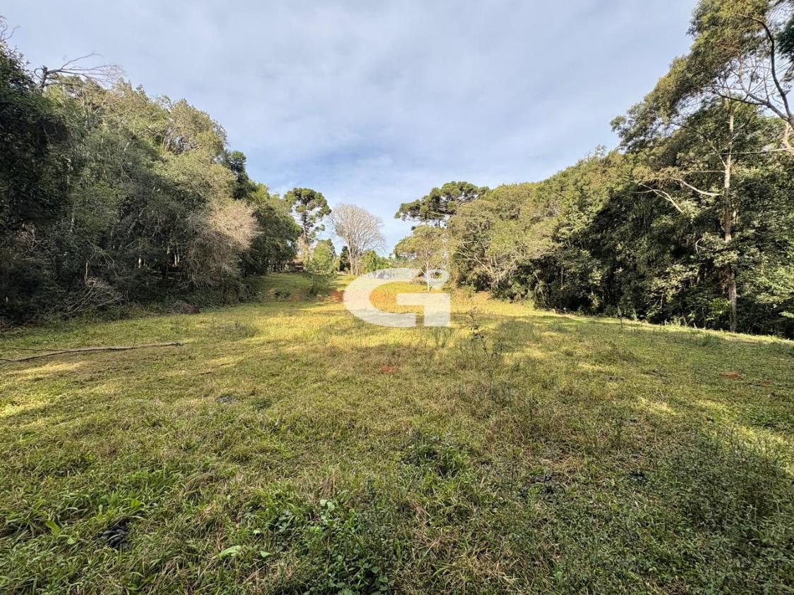 Terreno, 7562 m² - Foto 14