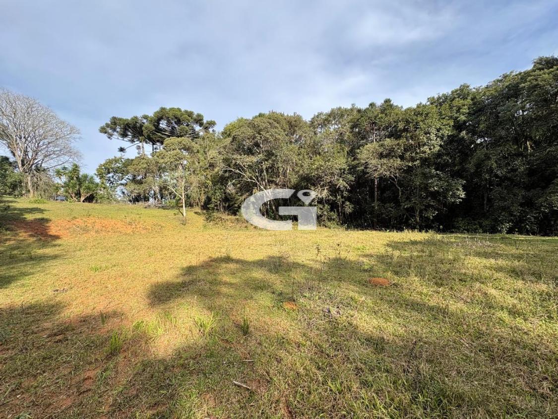 Terreno, 7562 m² - Foto 15