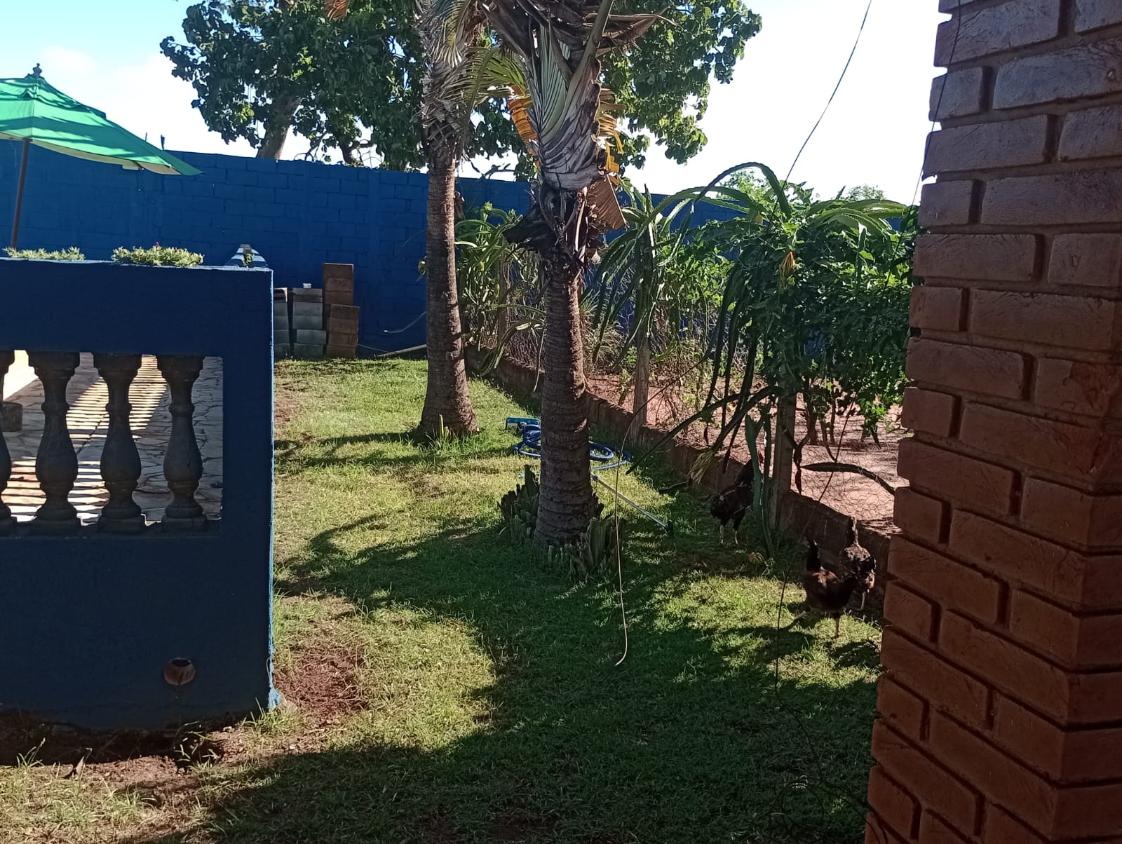 Sítio, 3 quartos, 1200 m² - Foto 6