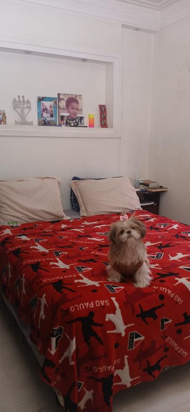 Apartamento, 3 quartos, 130 m² - Foto 29