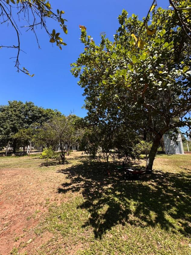 Sítio, 3 quartos, 5800 m² - Foto 9