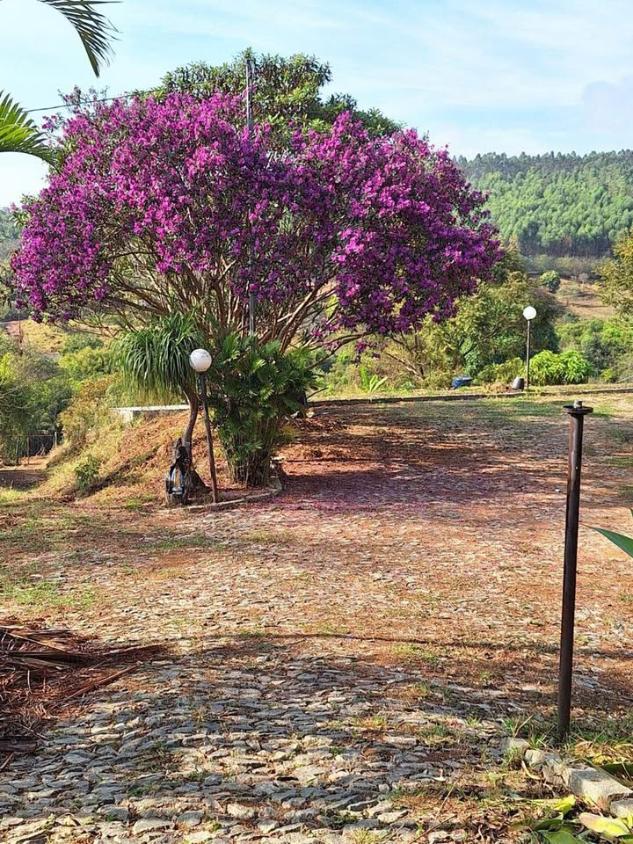 Chácara, 3 quartos, 20 m² - Foto 4