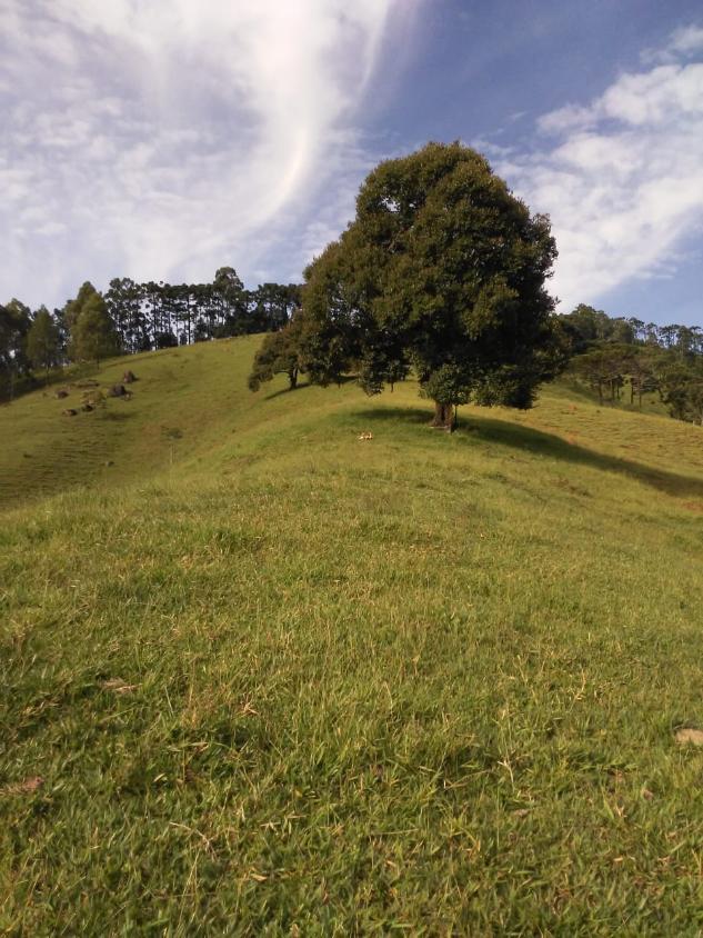 Fazenda, 18 hectares - Foto 1