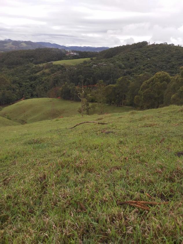 Fazenda, 18 hectares - Foto 7