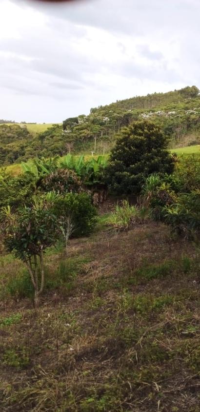 Fazenda, 18 hectares - Foto 12