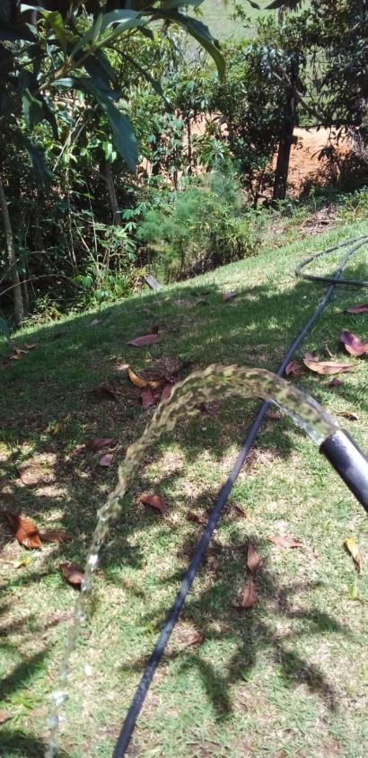 Fazenda, 18 hectares - Foto 13
