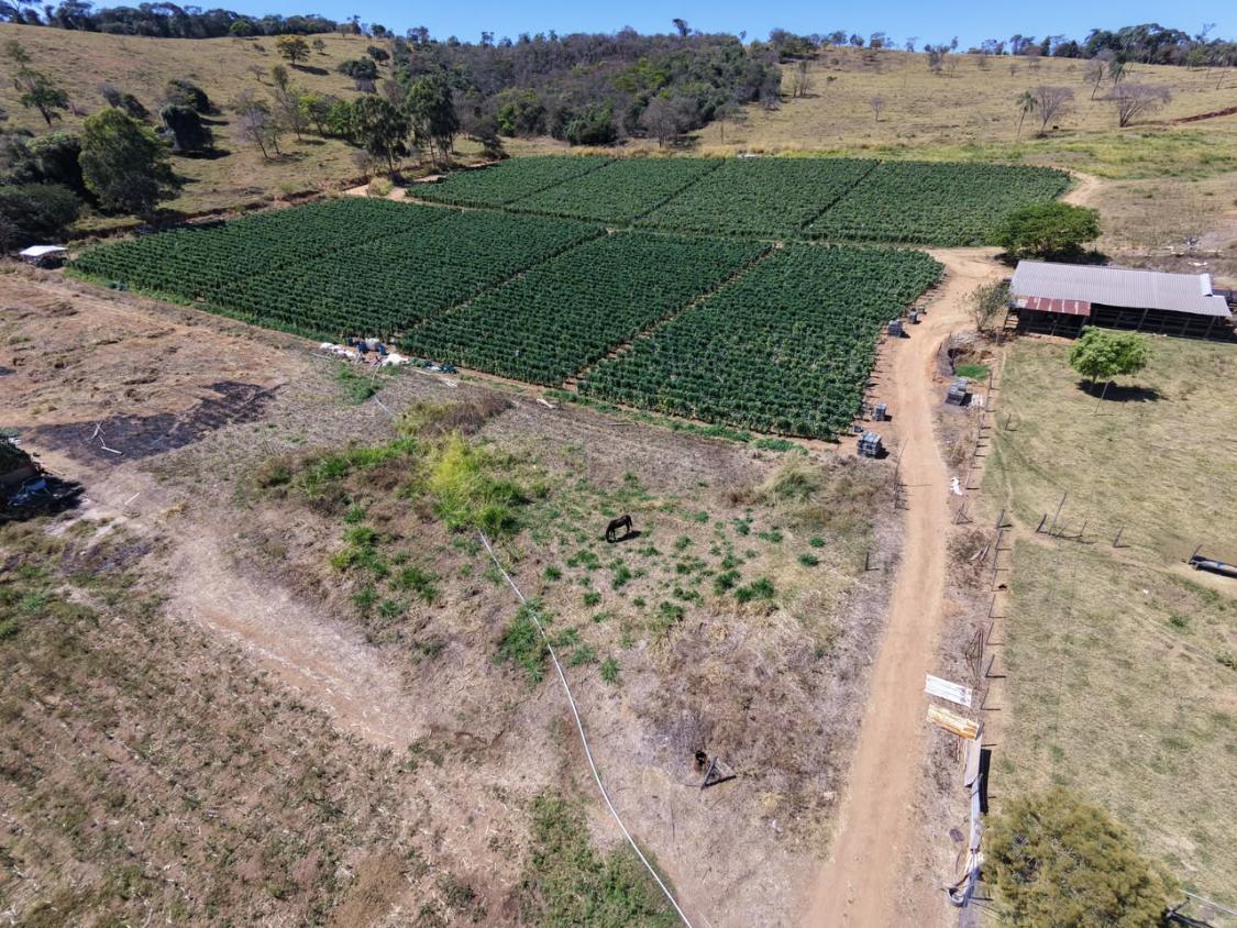 Fazenda, 9000 m² - Foto 2