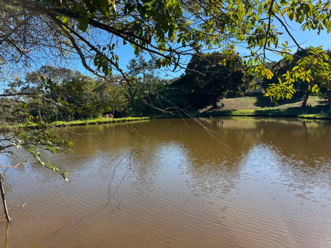 Fazenda, 9000 m² - Foto 3