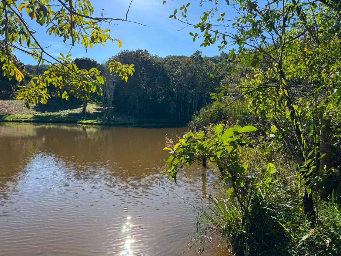 Fazenda, 9000 m² - Foto 5