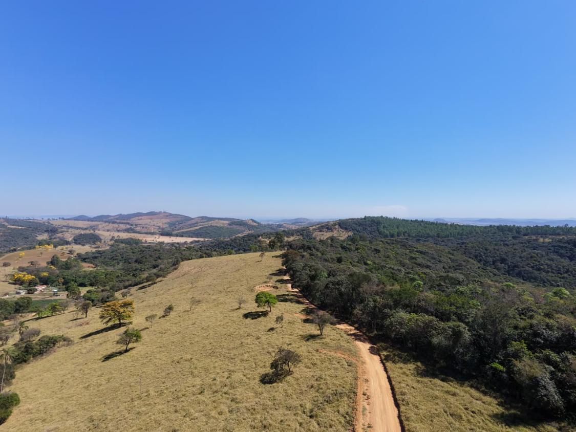 Fazenda, 9000 m² - Foto 11