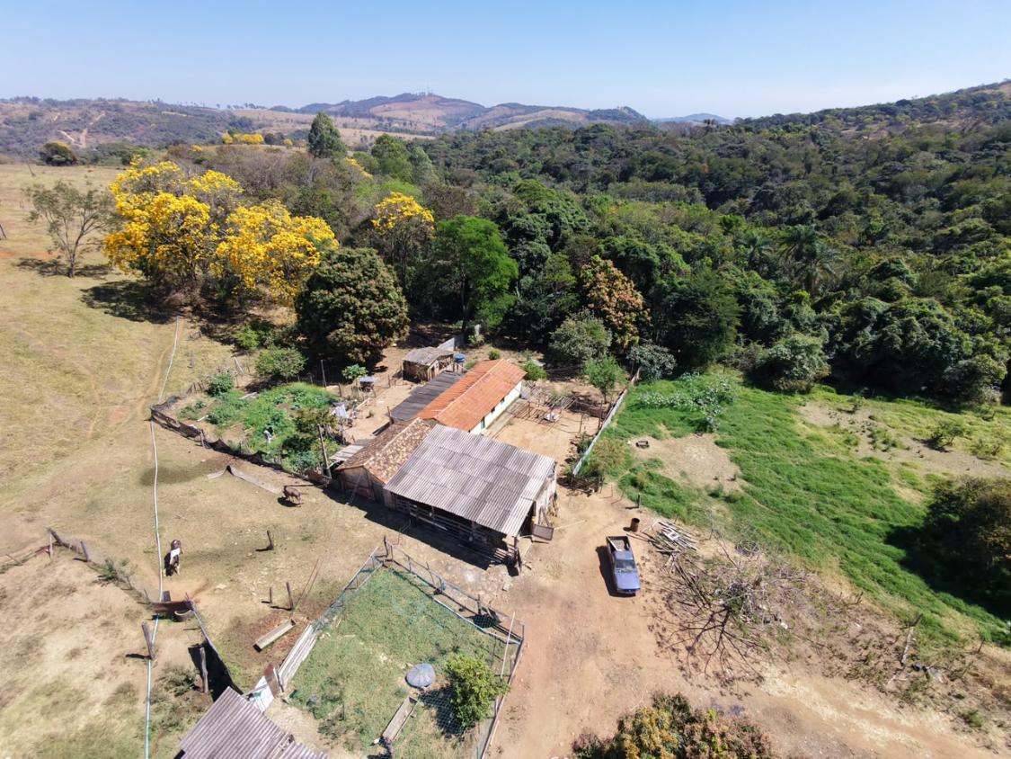 Fazenda, 9000 m² - Foto 4