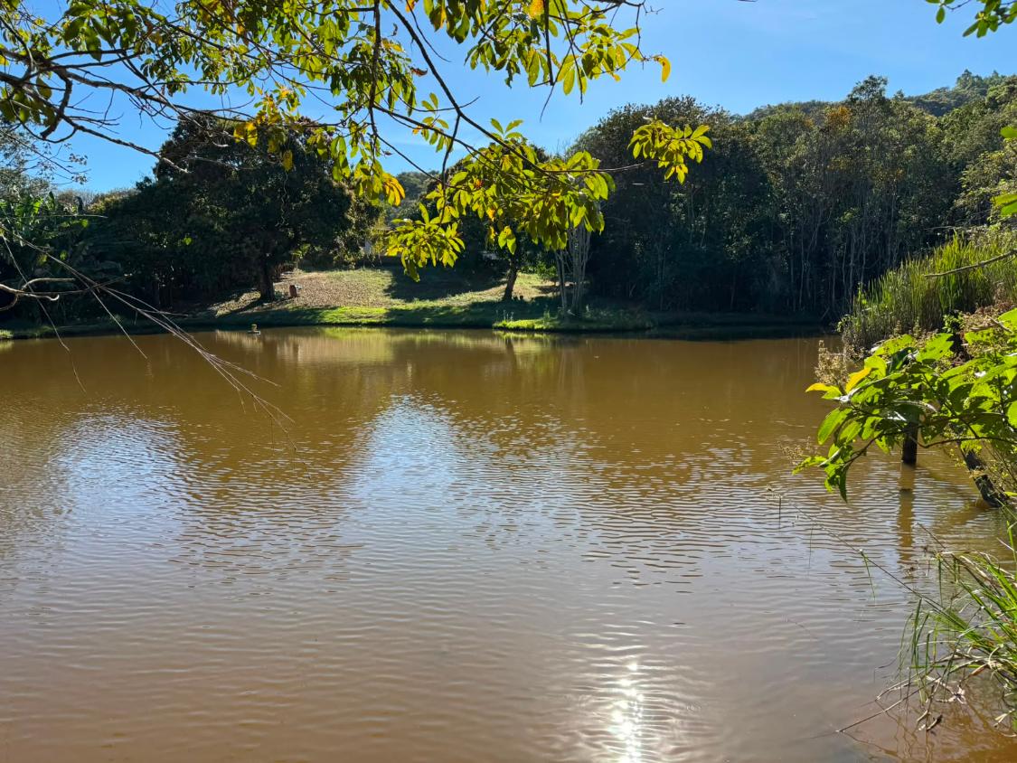 Fazenda, 9000 m² - Foto 18