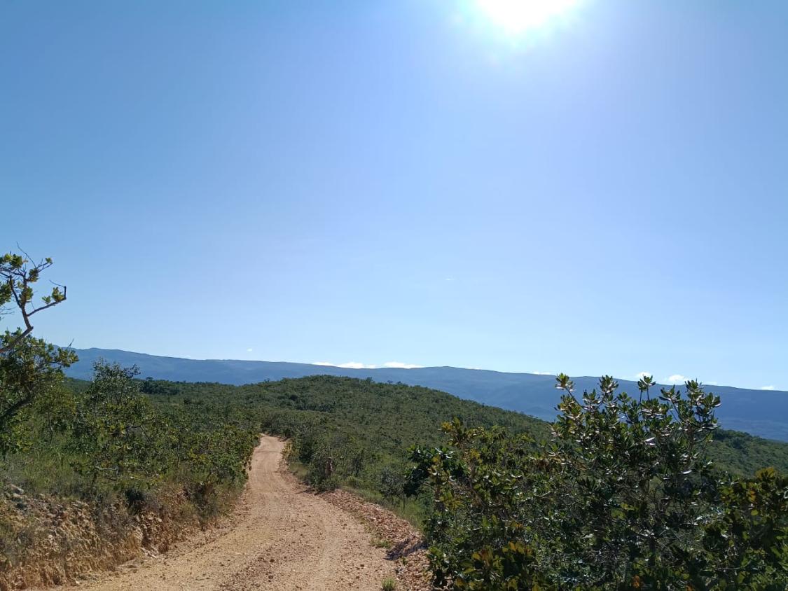 Fazenda, 33 hectares - Foto 5
