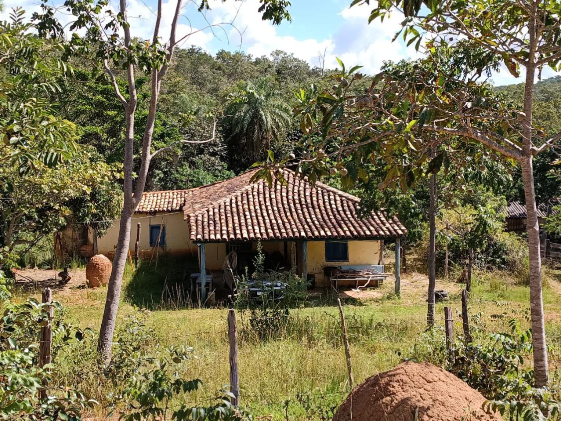 Fazenda, 33 hectares - Foto 1