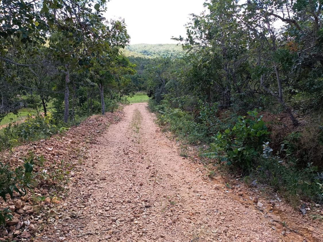 Fazenda, 33 hectares - Foto 9