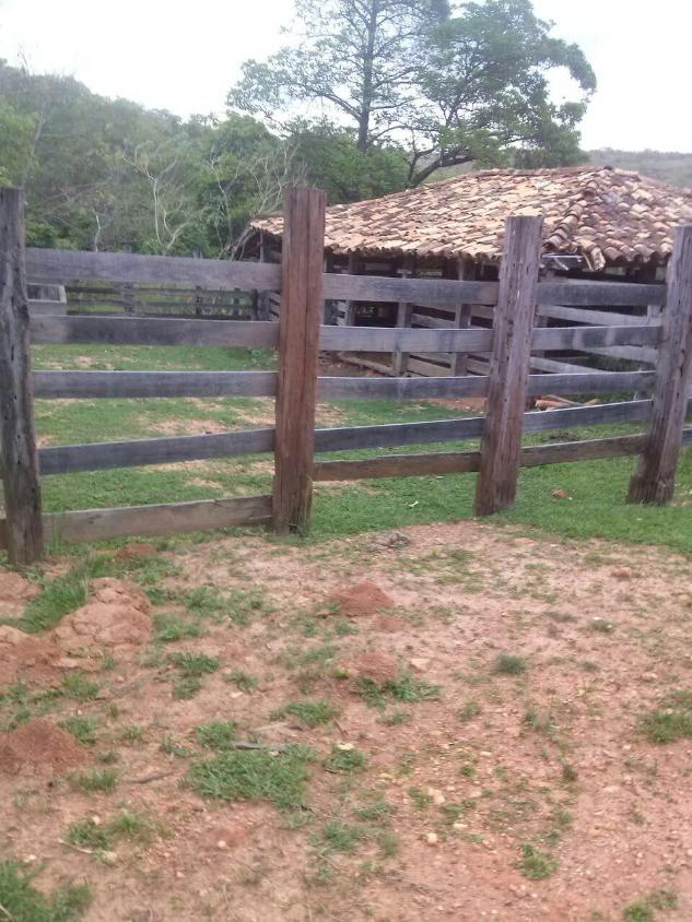 Fazenda, 33 hectares - Foto 14