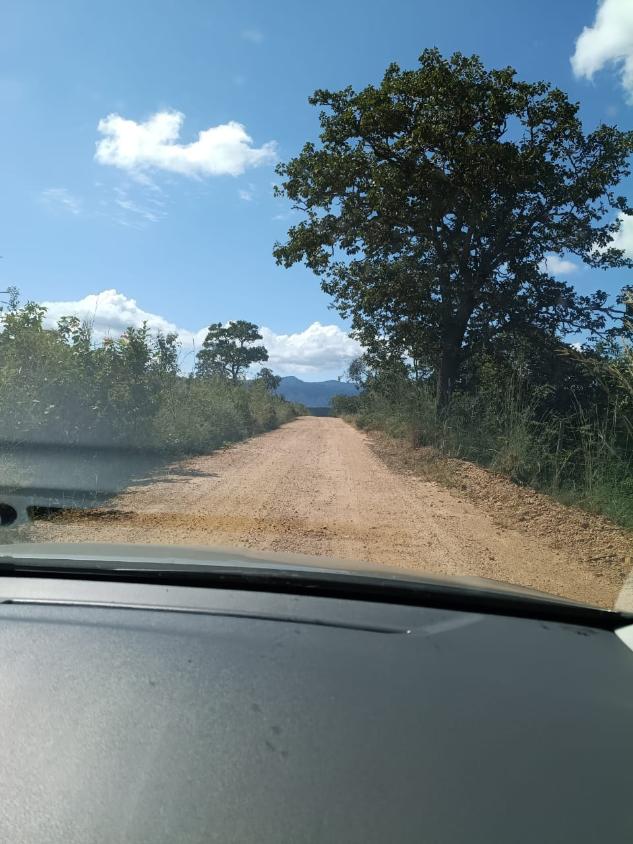 Fazenda, 33 hectares - Foto 11
