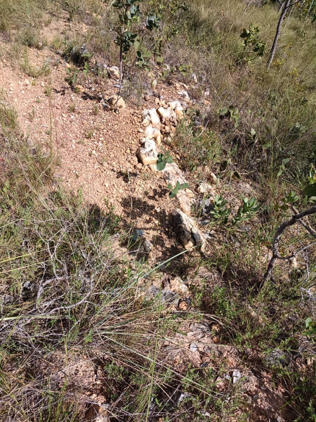 Fazenda, 33 hectares - Foto 12