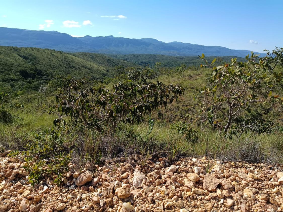 Fazenda, 33 hectares - Foto 13