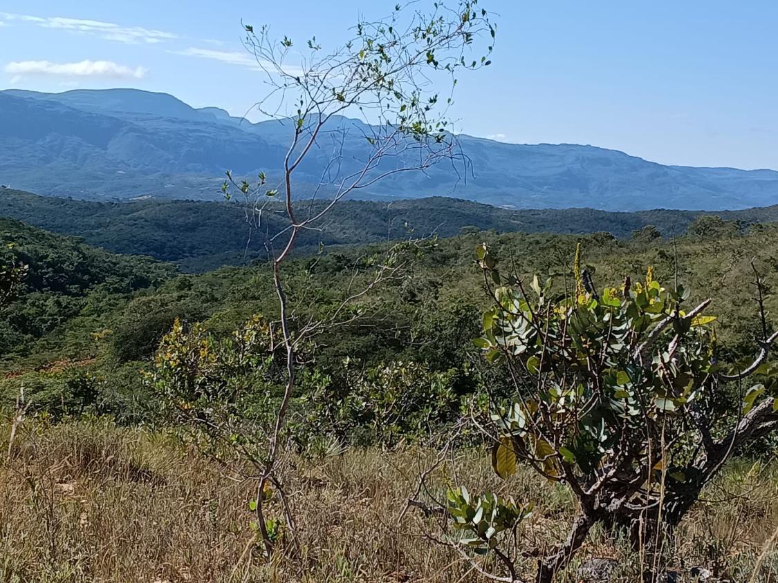 Fazenda, 33 hectares - Foto 16