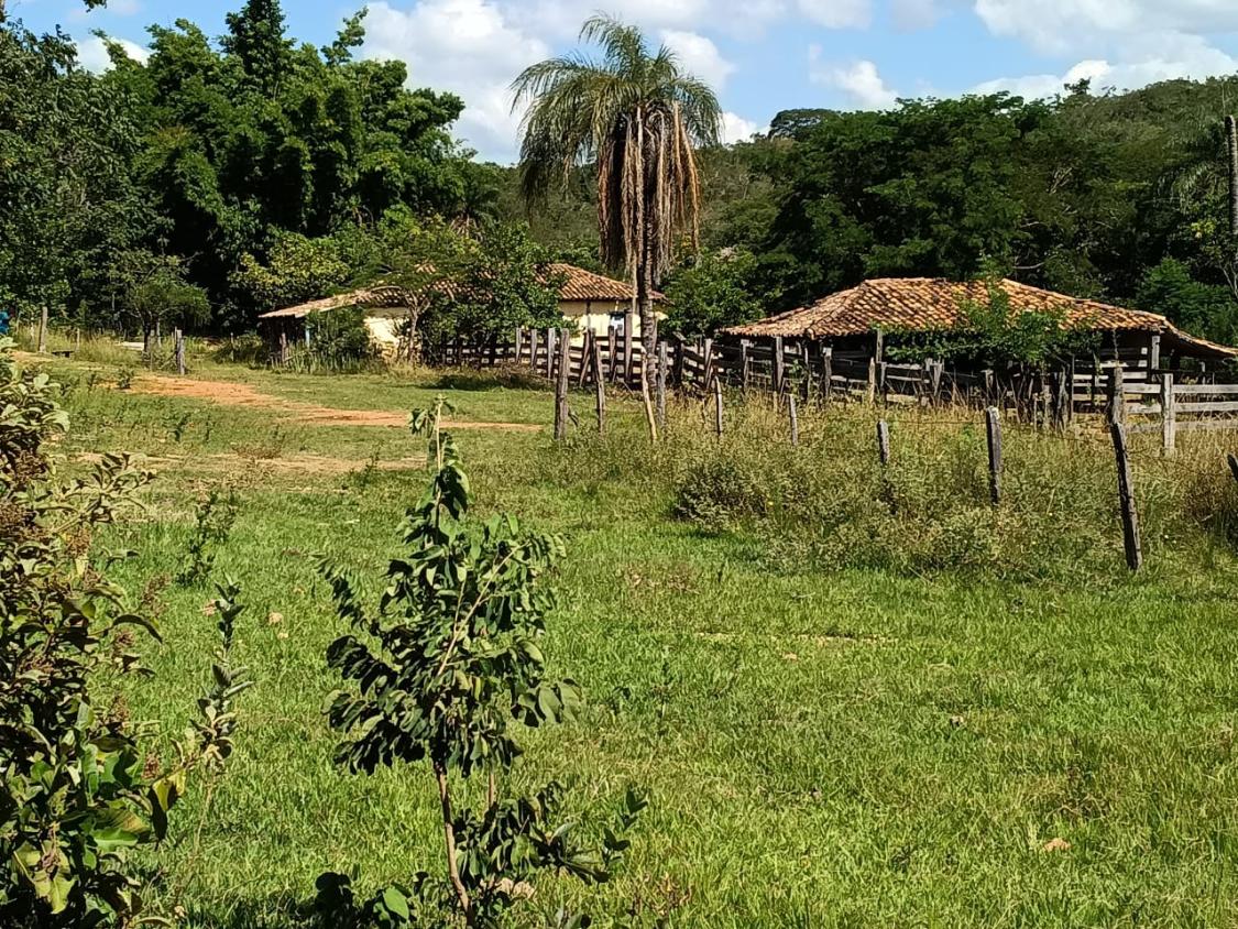 Fazenda, 33 hectares - Foto 2