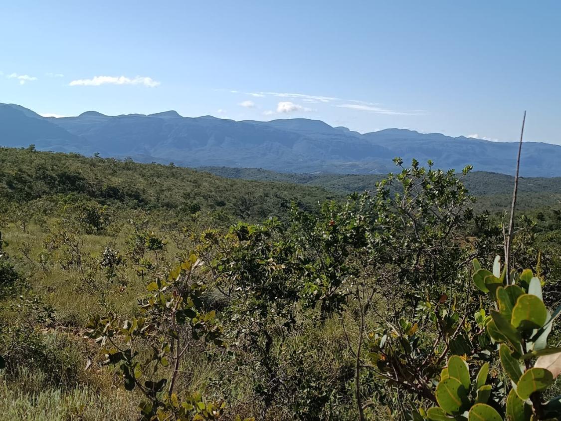Fazenda, 33 hectares - Foto 17