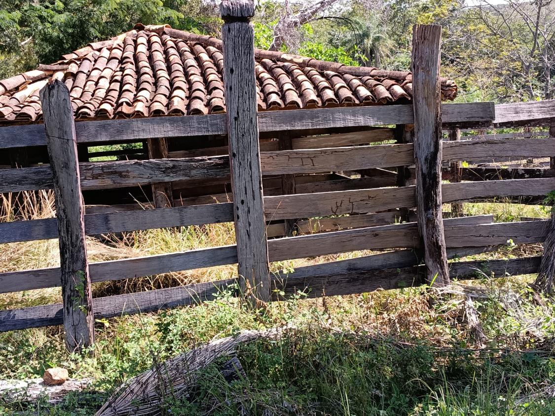 Fazenda, 33 hectares - Foto 3