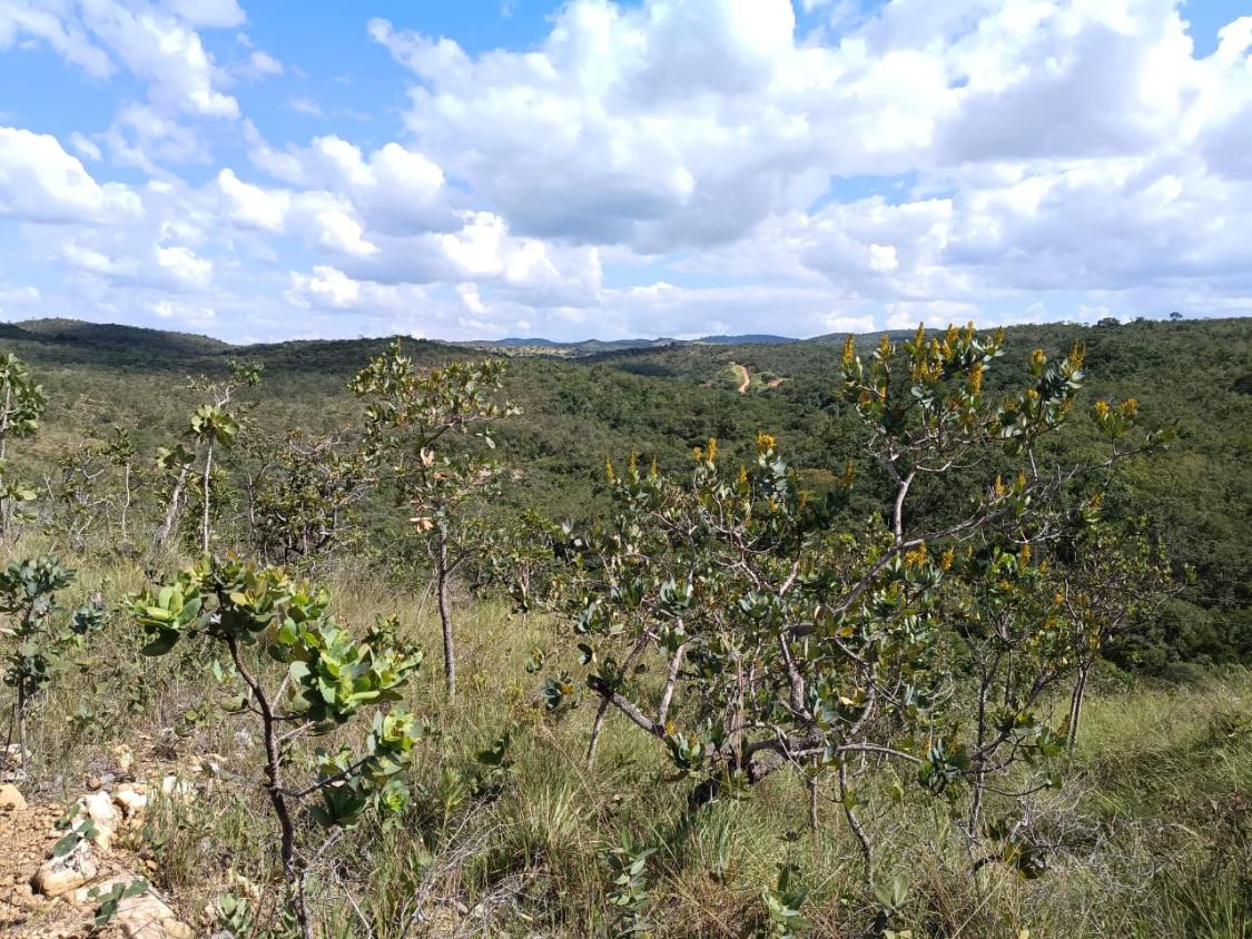 Fazenda, 33 hectares - Foto 19