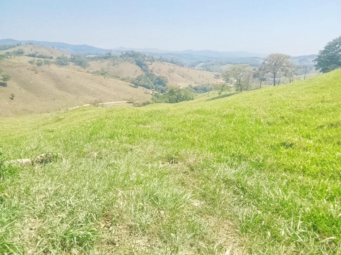 Terreno, 1100 m² - Foto 5