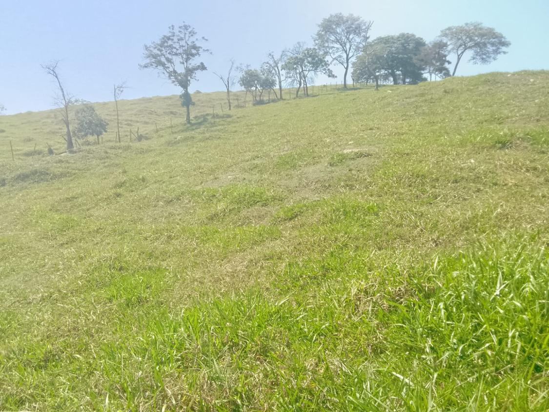 Terreno, 1100 m² - Foto 7