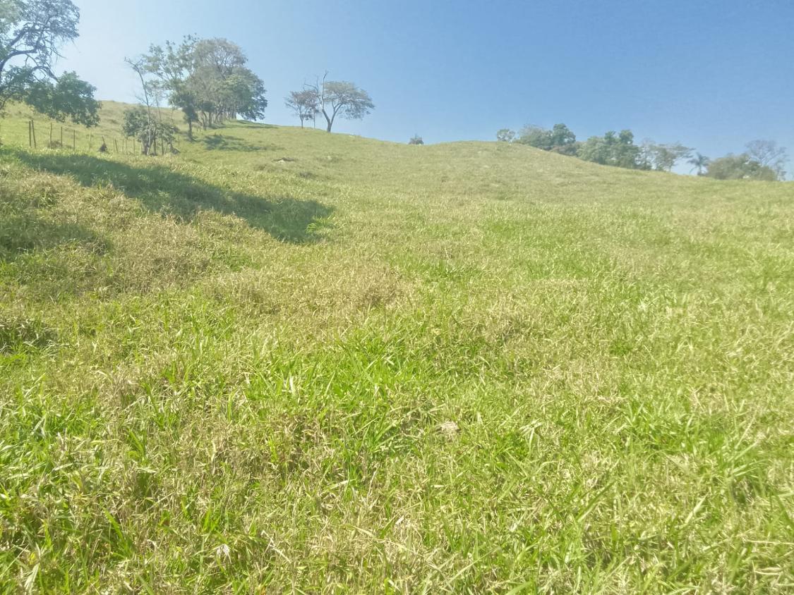 Terreno, 1100 m² - Foto 8