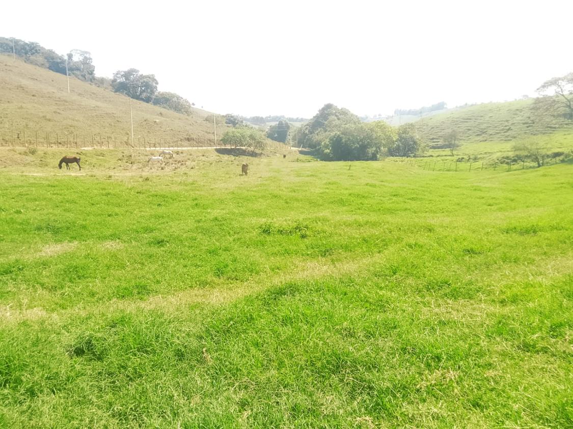 Terreno, 1100 m² - Foto 9
