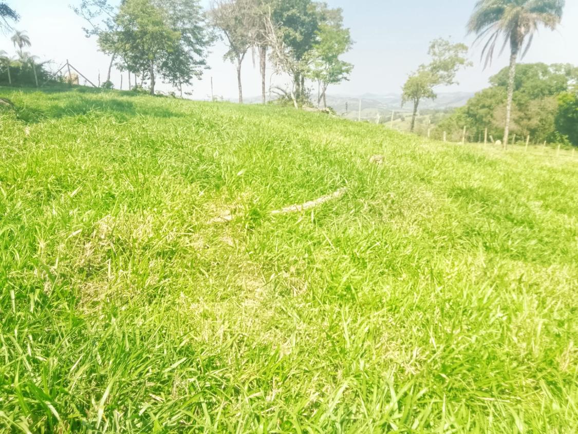 Terreno, 1100 m² - Foto 17