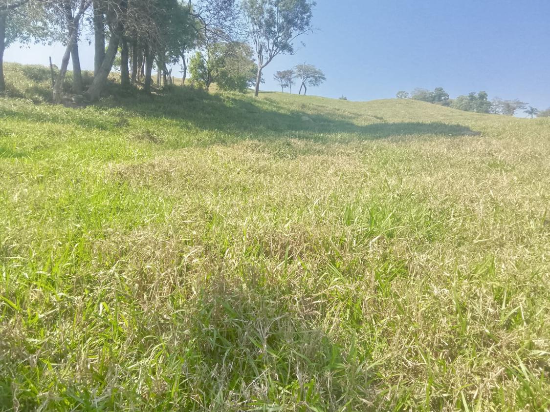 Terreno, 1100 m² - Foto 18