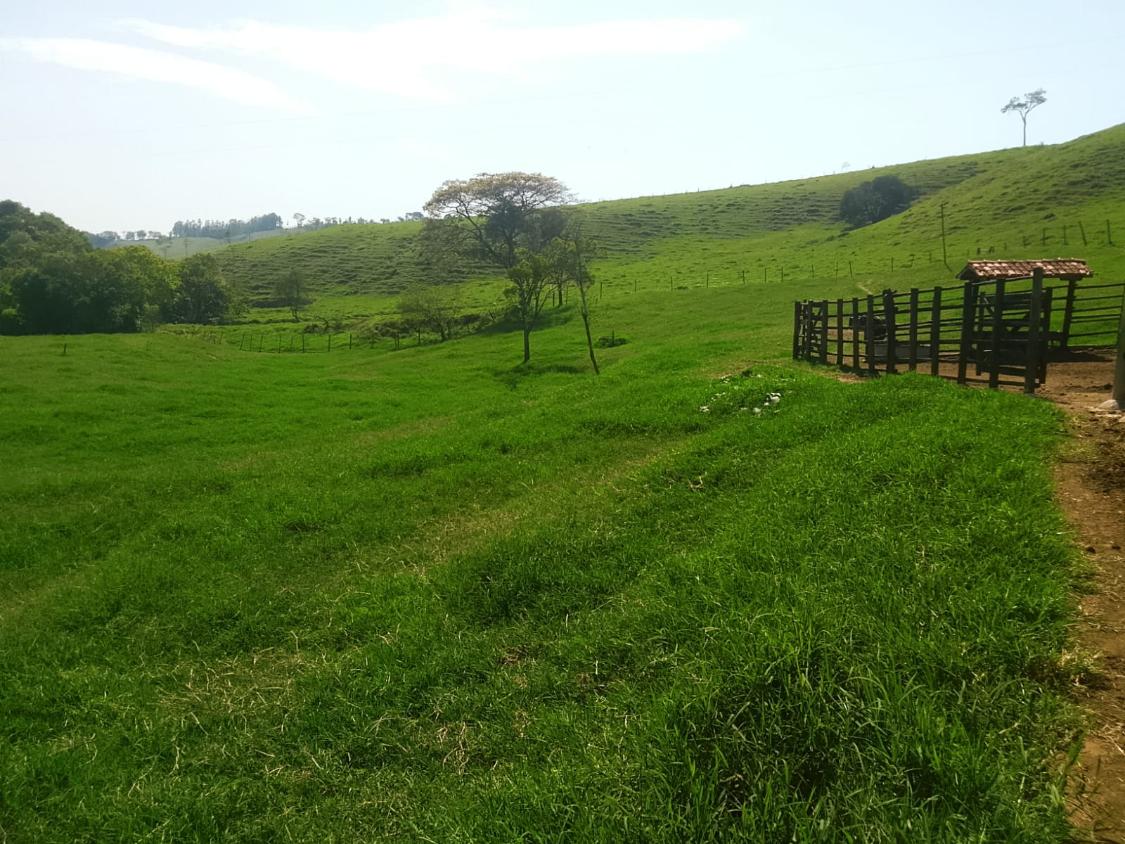 Terreno, 1100 m² - Foto 19