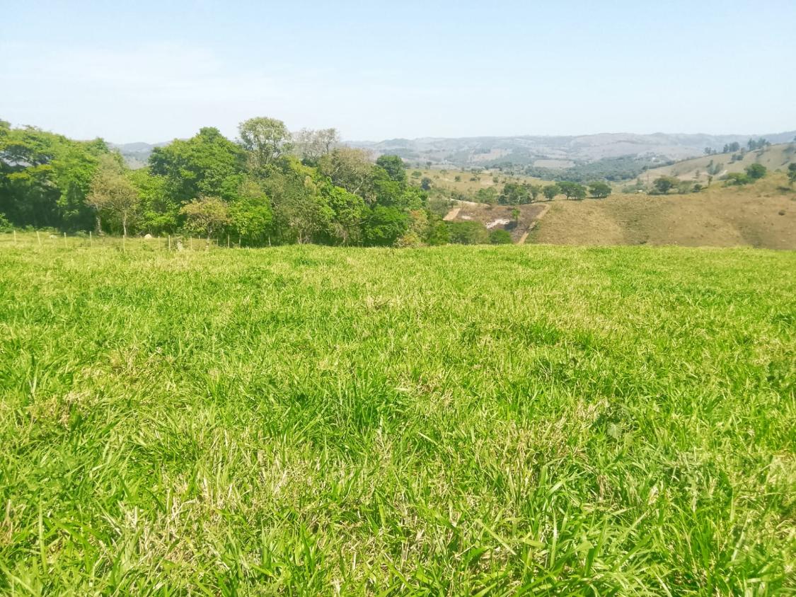 Terreno, 1100 m² - Foto 21