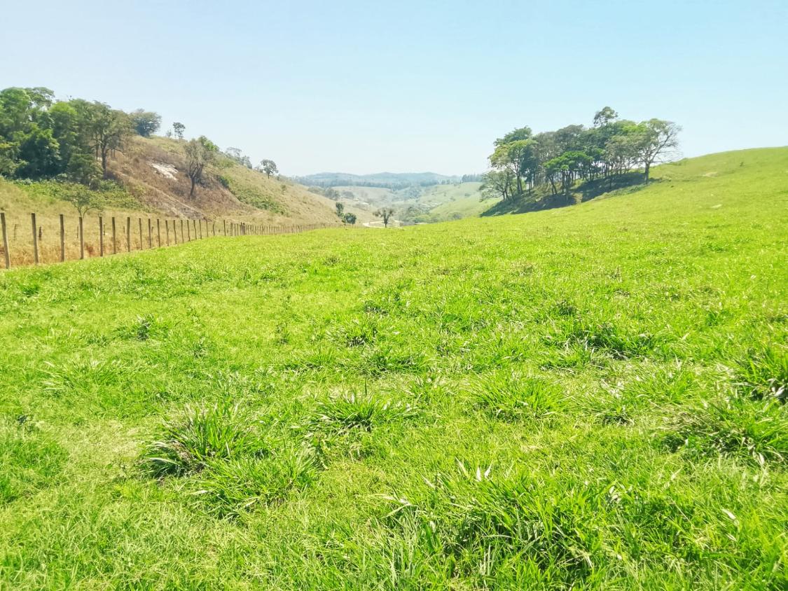 Terreno, 1100 m² - Foto 24