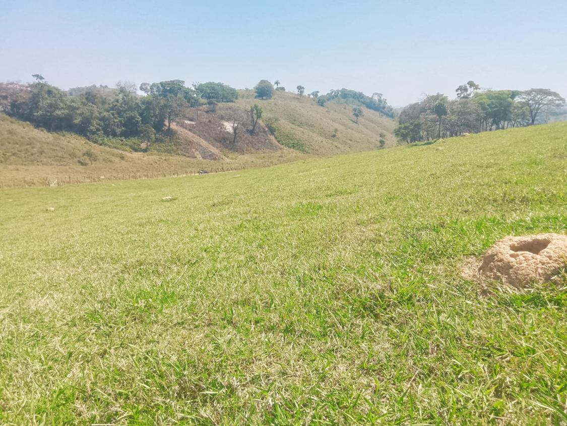 Terreno, 1100 m² - Foto 27