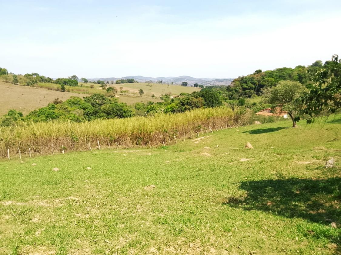 Terreno, 2300 m² - Foto 6