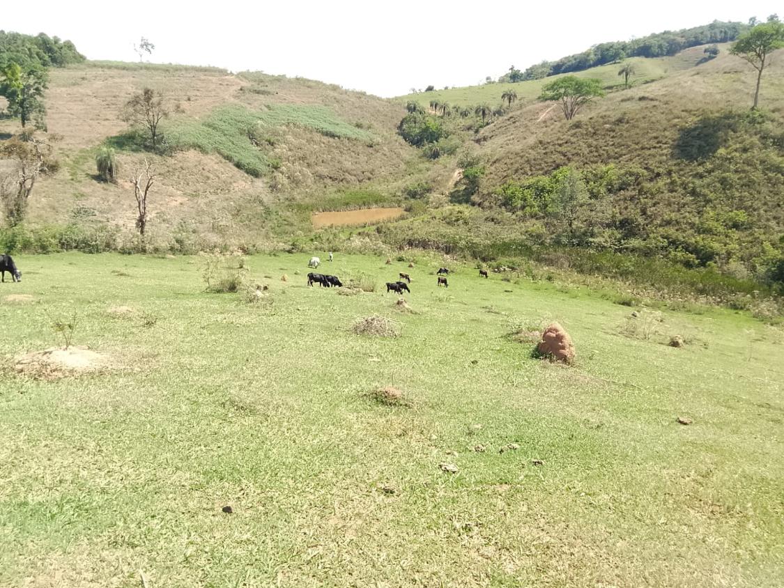 Terreno, 2300 m² - Foto 7