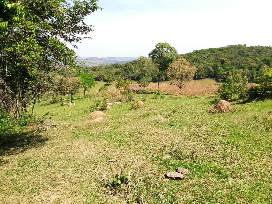 Terreno, 2300 m² - Foto 8