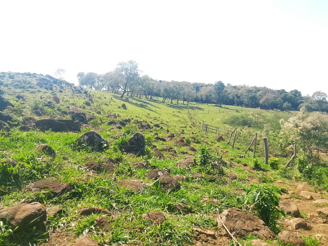 Terreno, 2300 m² - Foto 12