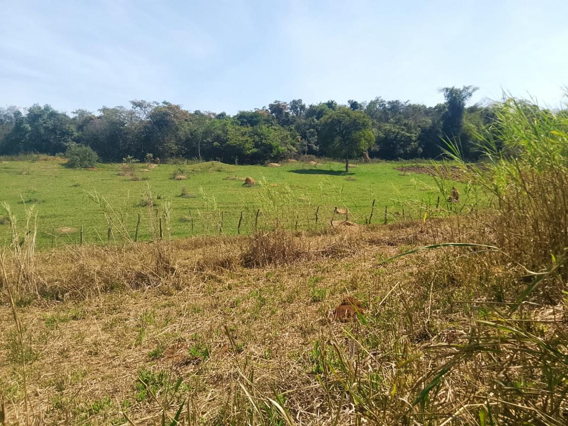 Terreno, 2300 m² - Foto 13
