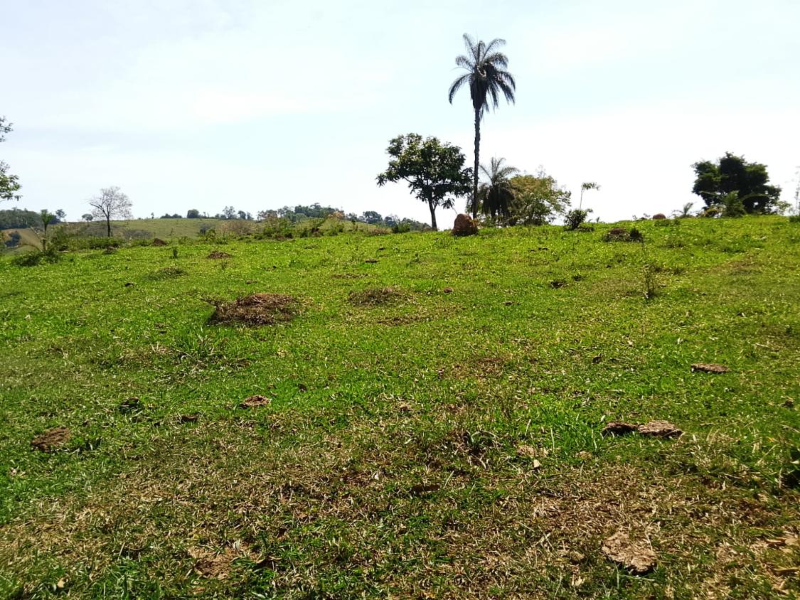 Terreno, 2300 m² - Foto 14