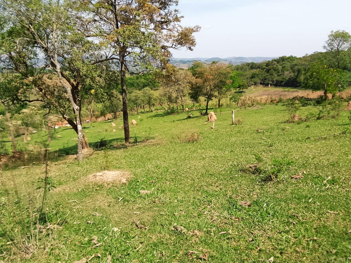 Terreno, 2300 m² - Foto 15