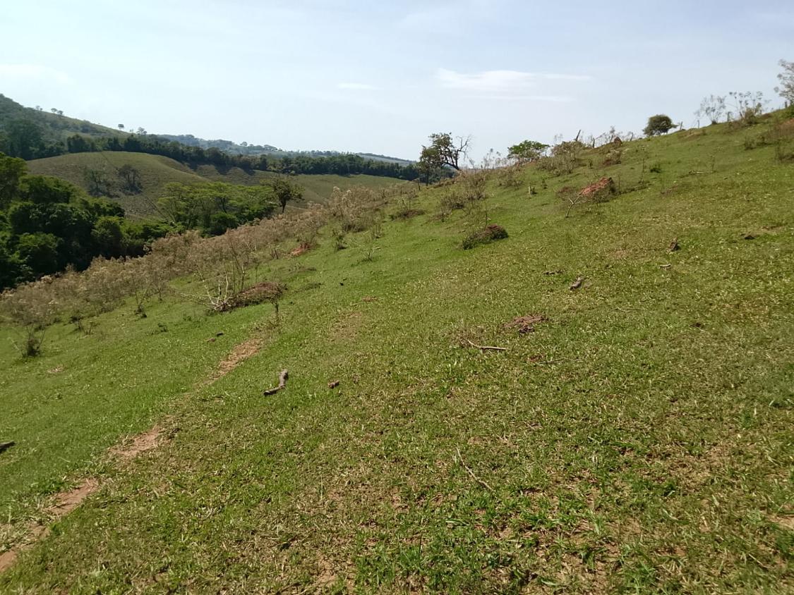 Terreno, 2300 m² - Foto 17