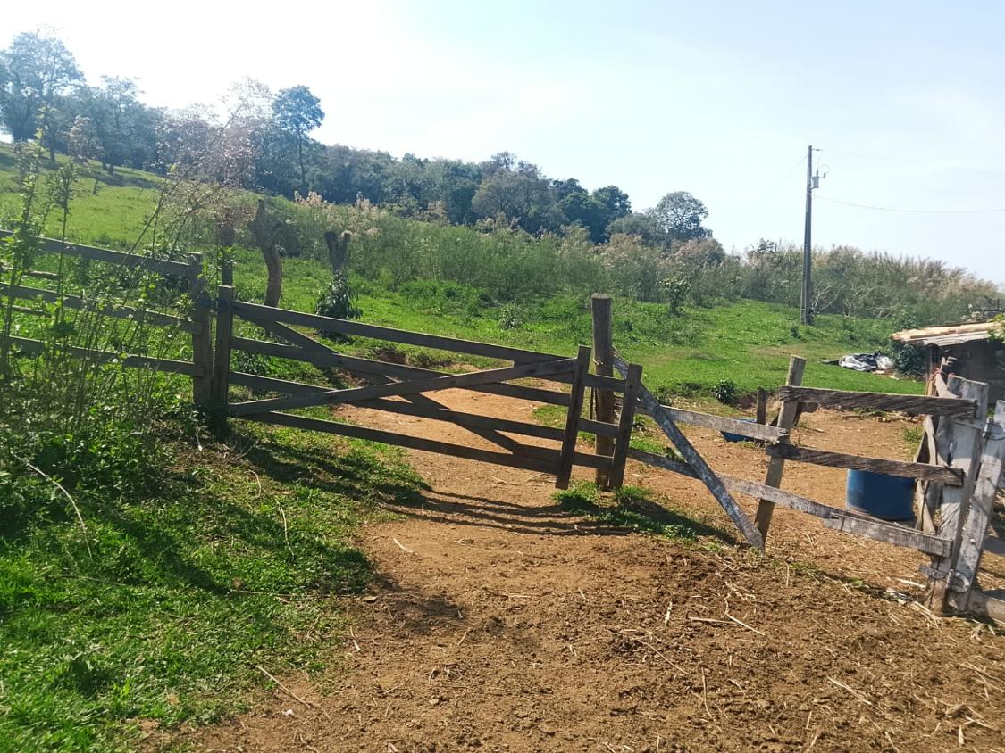 Terreno, 2300 m² - Foto 3