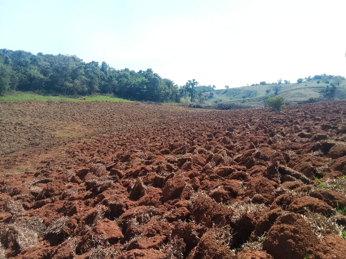 Terreno, 2300 m² - Foto 19