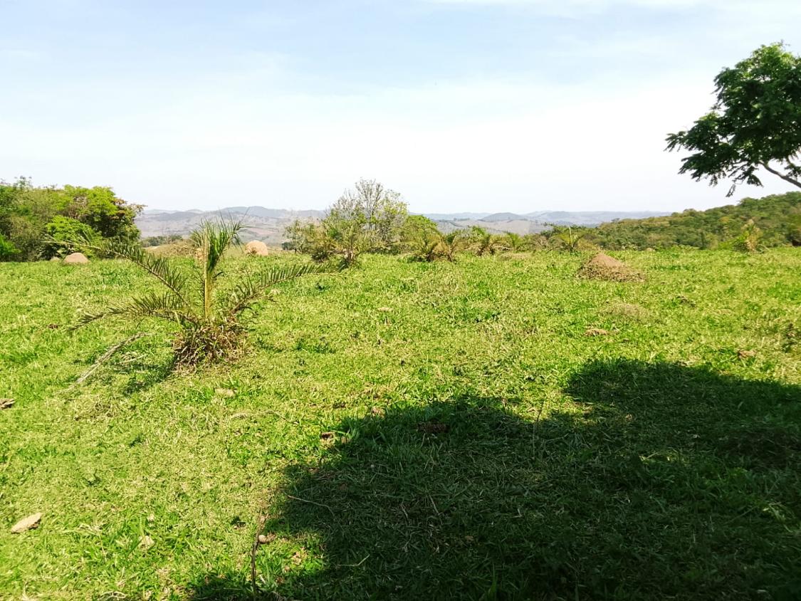 Terreno, 2300 m² - Foto 23